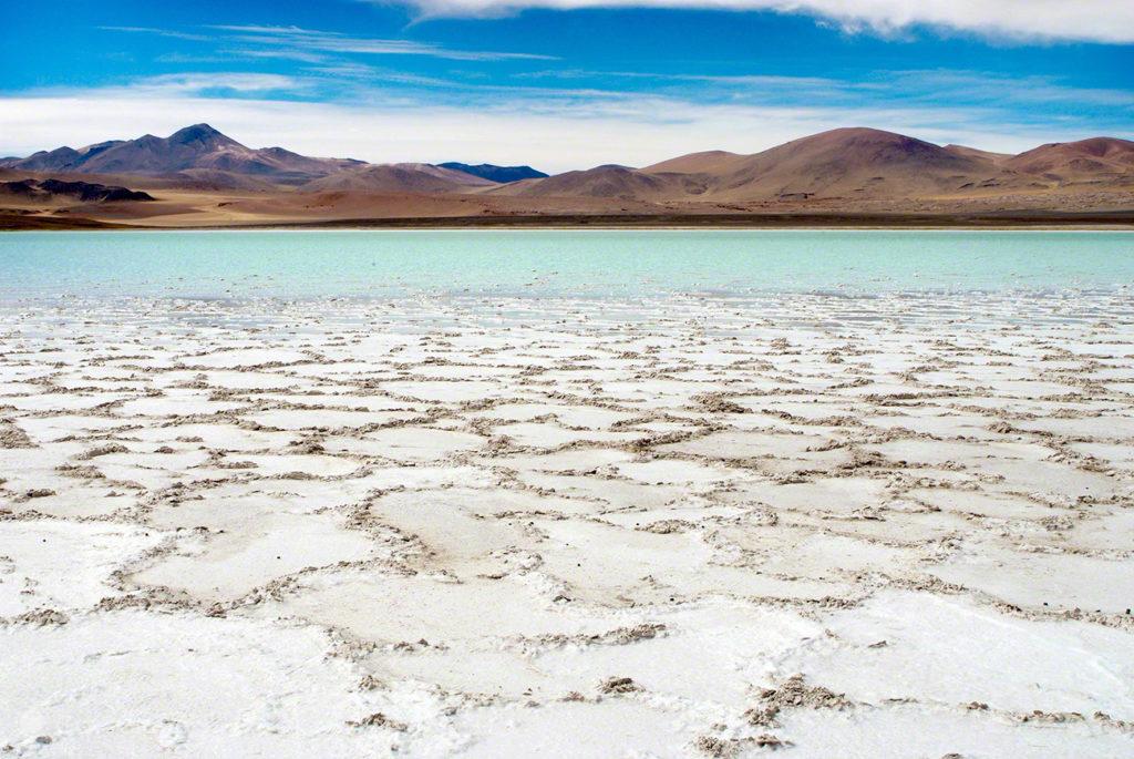 Salar, Vida nos limites, Deserto Atacama, Chile