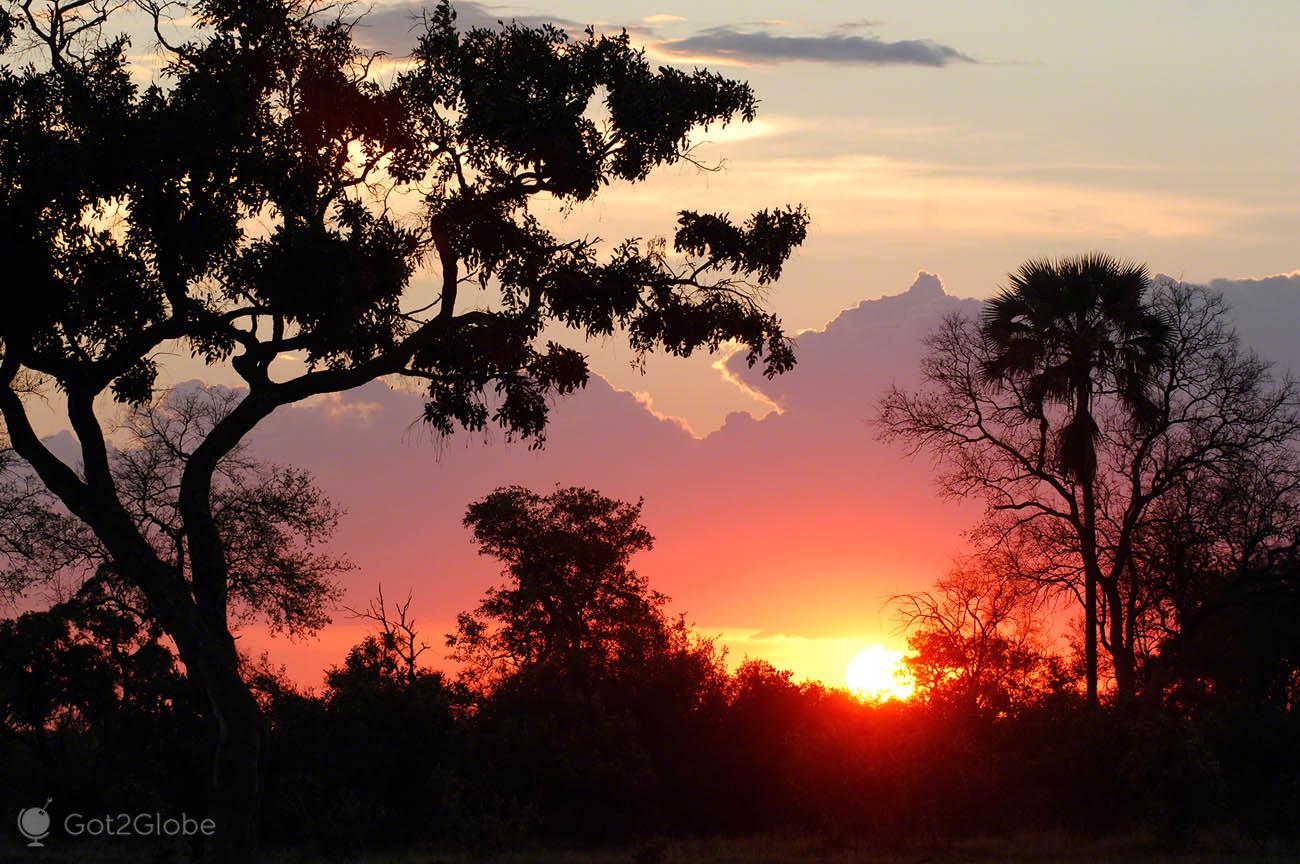 Savuti y los leones devoradores de elefantes | Botswana | Got2Globe