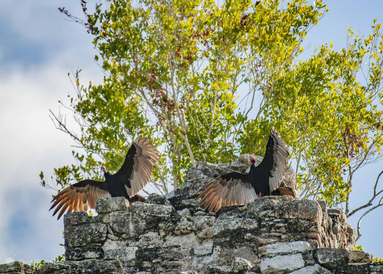 Cobá, viagem às Ruínas Maias,