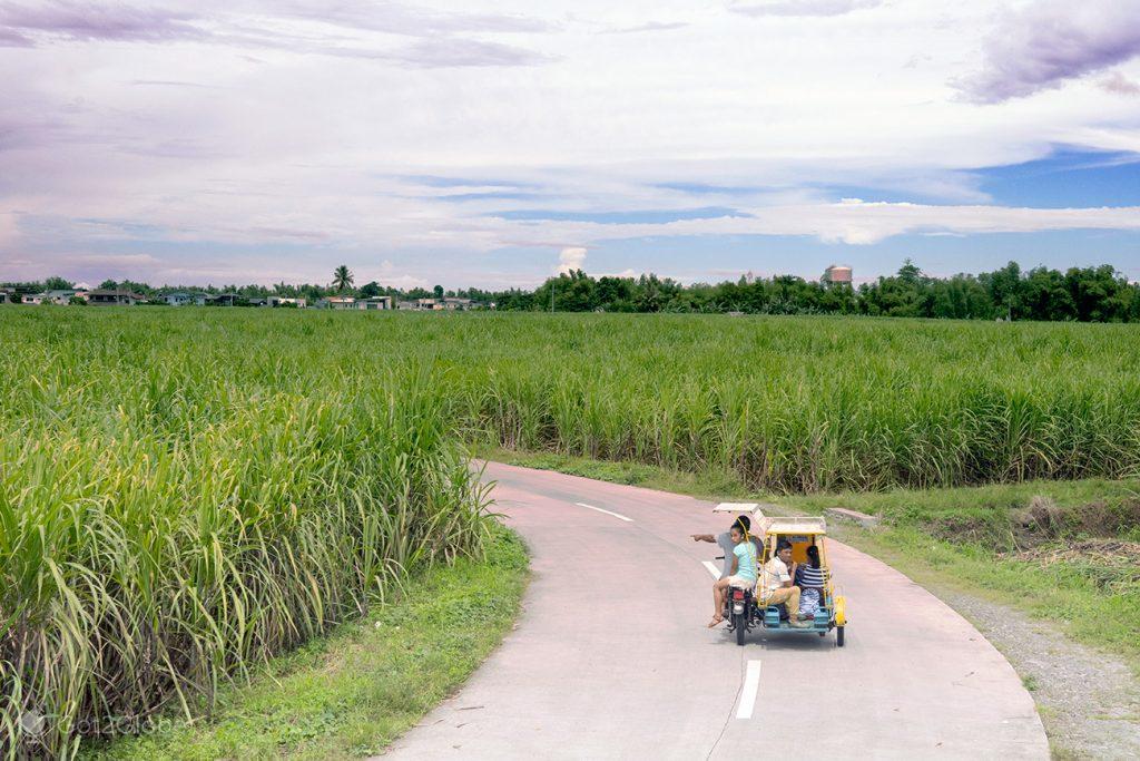 Tricycle entre cana-de-açúcar em Talisay, ilha de Negros, Filipinas