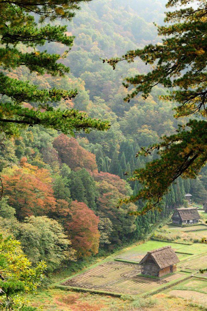 Japão bucólico, Shirakawa-go, Ogimachi, Japao, Aldeia das Casas em Gassho