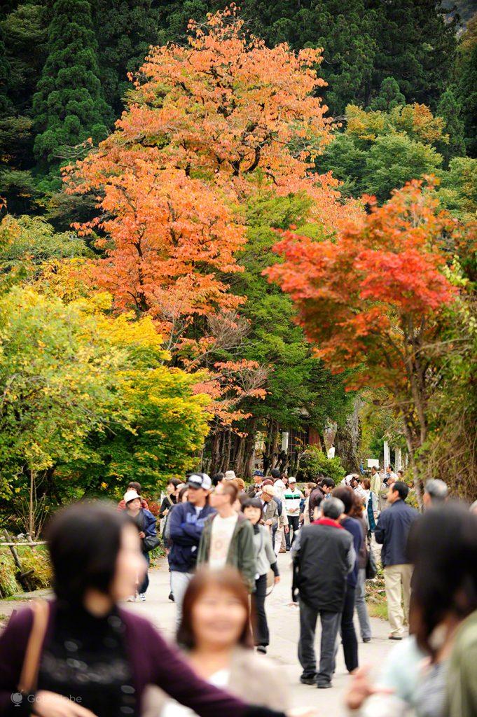 Multidão, Shirakawa-go, Ogimachi, Japao, Aldeia das Casas em Gassho