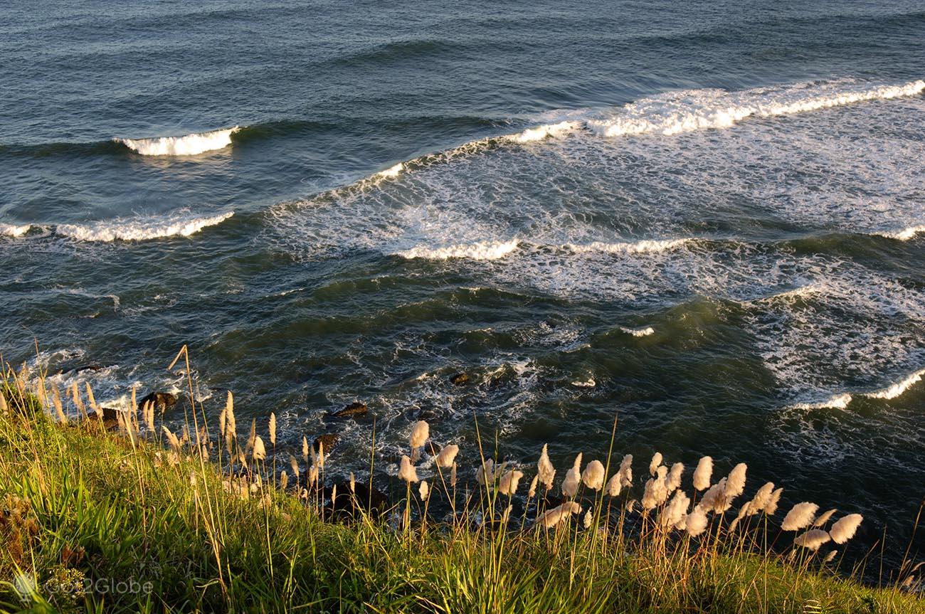 Ilha do Mel, Paraná: dolce Brasile meridionale