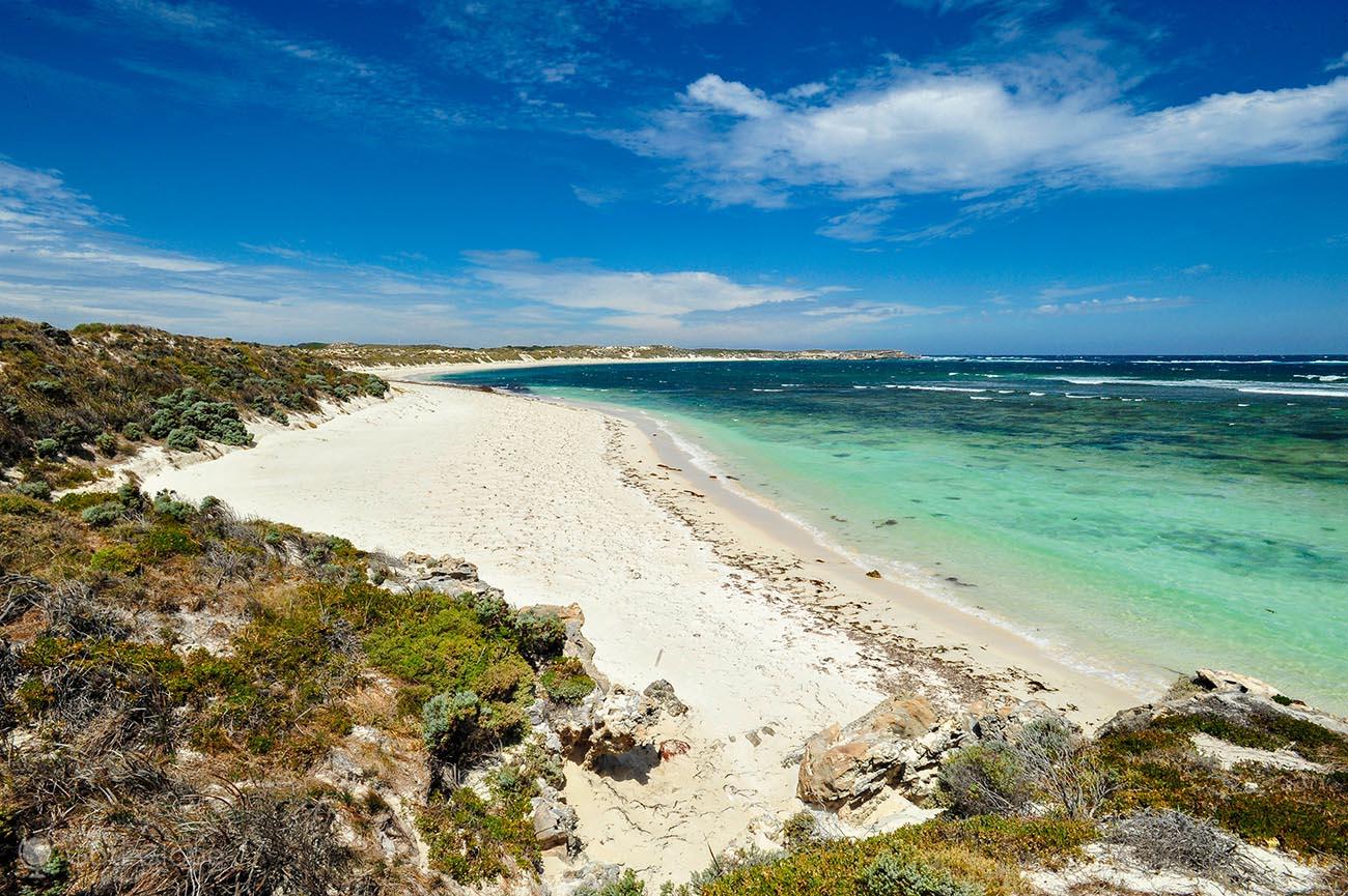 isla Rottnest entre quokkas y otros espíritus aborígenes Australia imagen