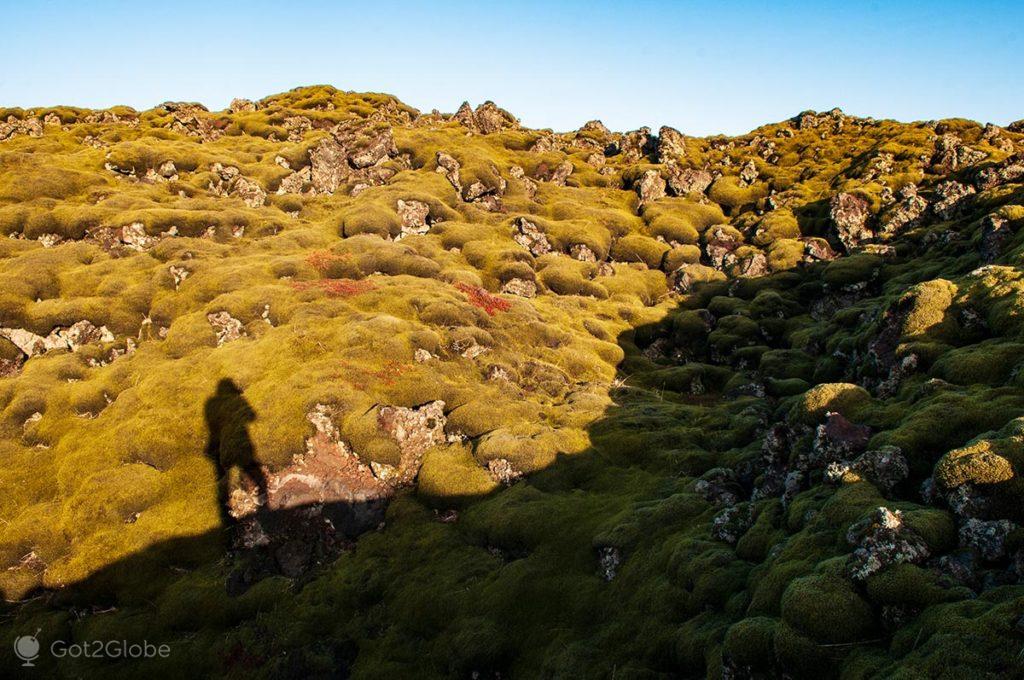 Sombra destaca-se sobre o verde do campo de lava coberto de musgo de Eldhraum