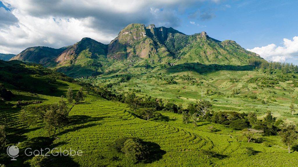 Vista aérea das plantações de chá acima da UP4 de Gurué