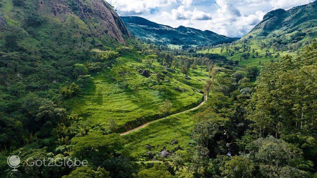 Panorama no vale Licungo e sua plantação de chá