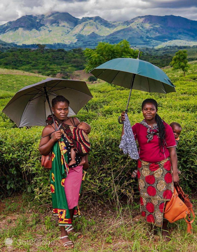 Mulheres e recém-nascido à sombra do sol tropical de Gurué