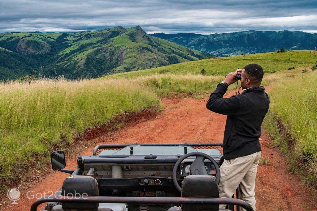 Caro observa a paisagem, a caminho da crista das montanhas Nyonyane.