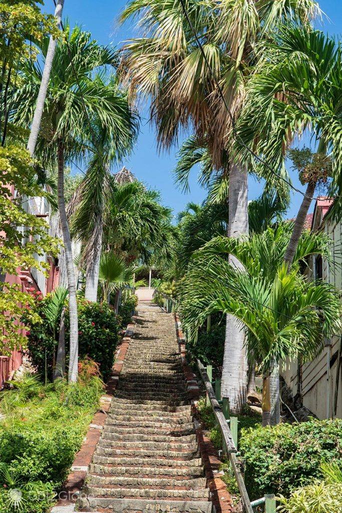 99 Steps, Charlotte Amalie, USVI