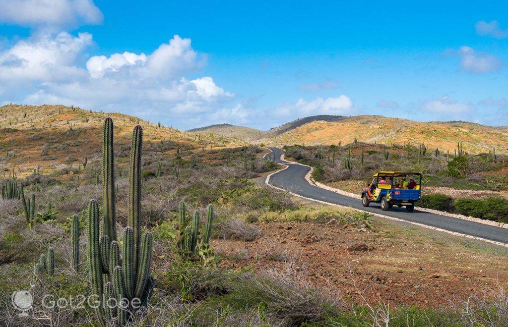 Route 7, uma das estradas que conduz ao domínio do PN Arikok