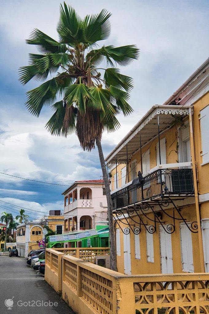 Palmeira ao mesmo plano do casario colonial de Charlotte Amalie